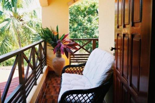 Noah De Coco Hotel Pousada Paracuru Ngoại thất bức ảnh